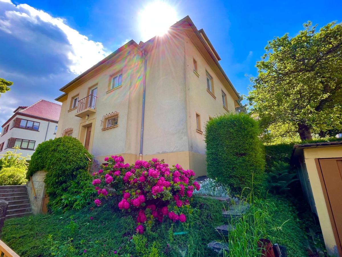 Kleines Studio Am Uni-Campus - Perfekt Fuer Junge Unternehmungslustige Drážďany Exteriér fotografie