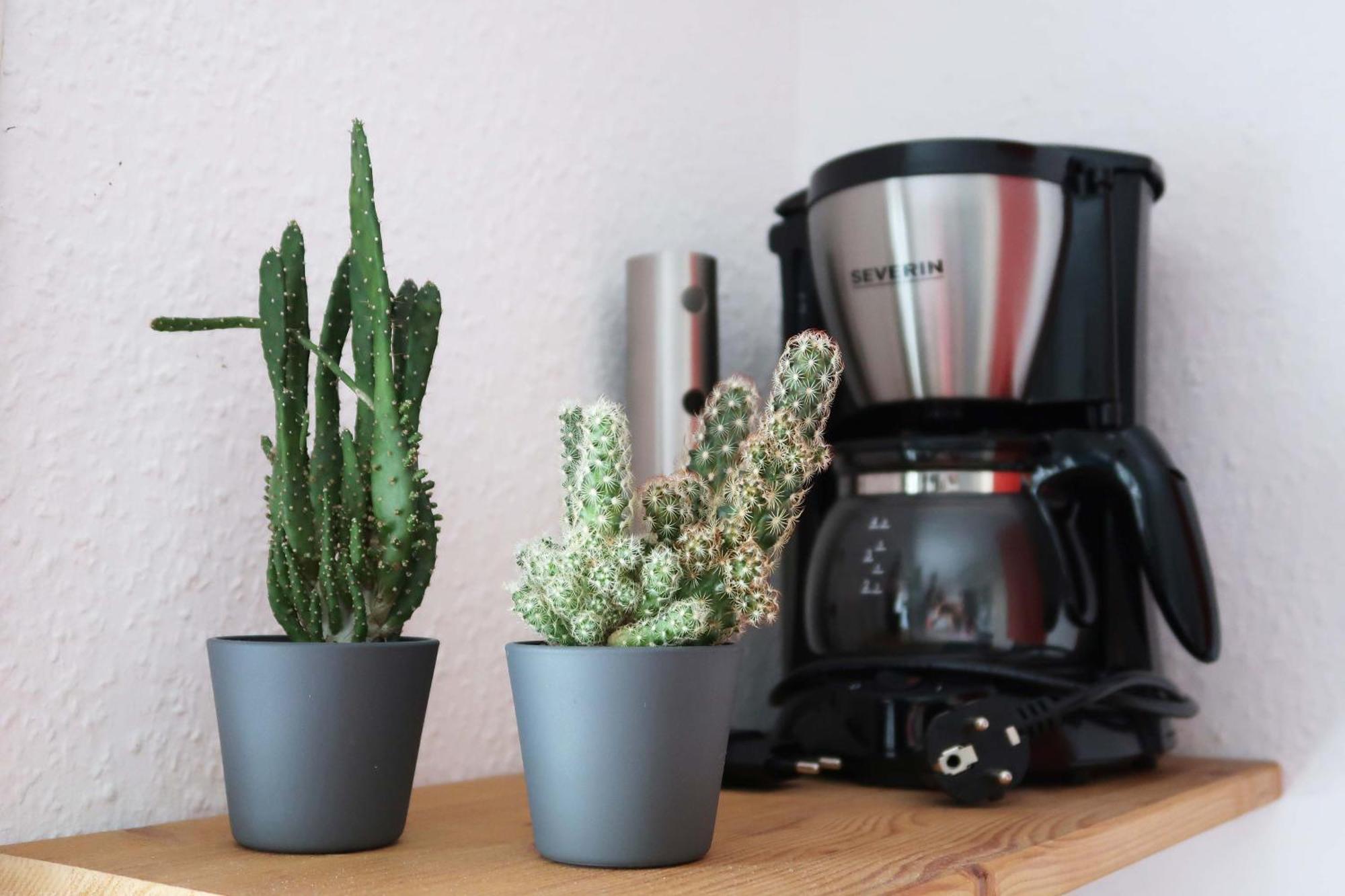 Kleines Studio Am Uni-Campus - Perfekt Fuer Junge Unternehmungslustige Drážďany Exteriér fotografie